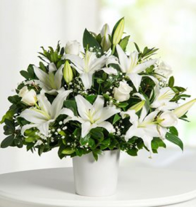 Çift dal beyaz orkide güllü Çiçeği & Ürünü Beyaz Gül Lilyum 