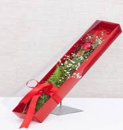 vazoda 24 kırmızı gül Çiçeği & Ürünü Tek Kutuda Gül 