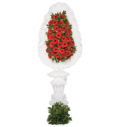  Çerkezköy Çiçek Kırmızı Gerbera Sepet/Çelenk